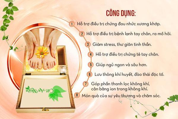 HỘP ĐÁ MUỐI ĐỂ CHÂN 2 CỤC