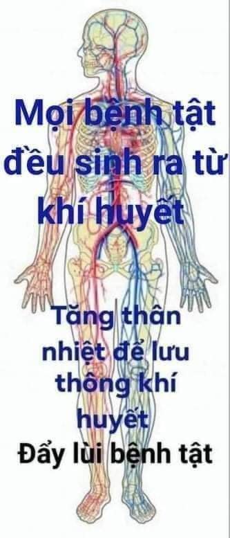 THẢM NHIỆT TIA HỒNG NGOẠI XA